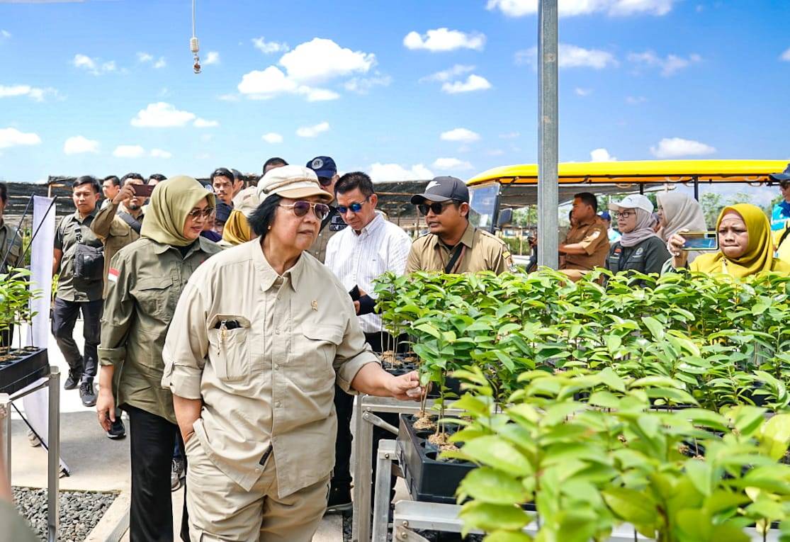 Menteri LHK: Pembangunan Persemaian Skala Besar Liang Anggang Kalimantan Selatan, Kerja Kolaborasi Hijaukan Indonesia