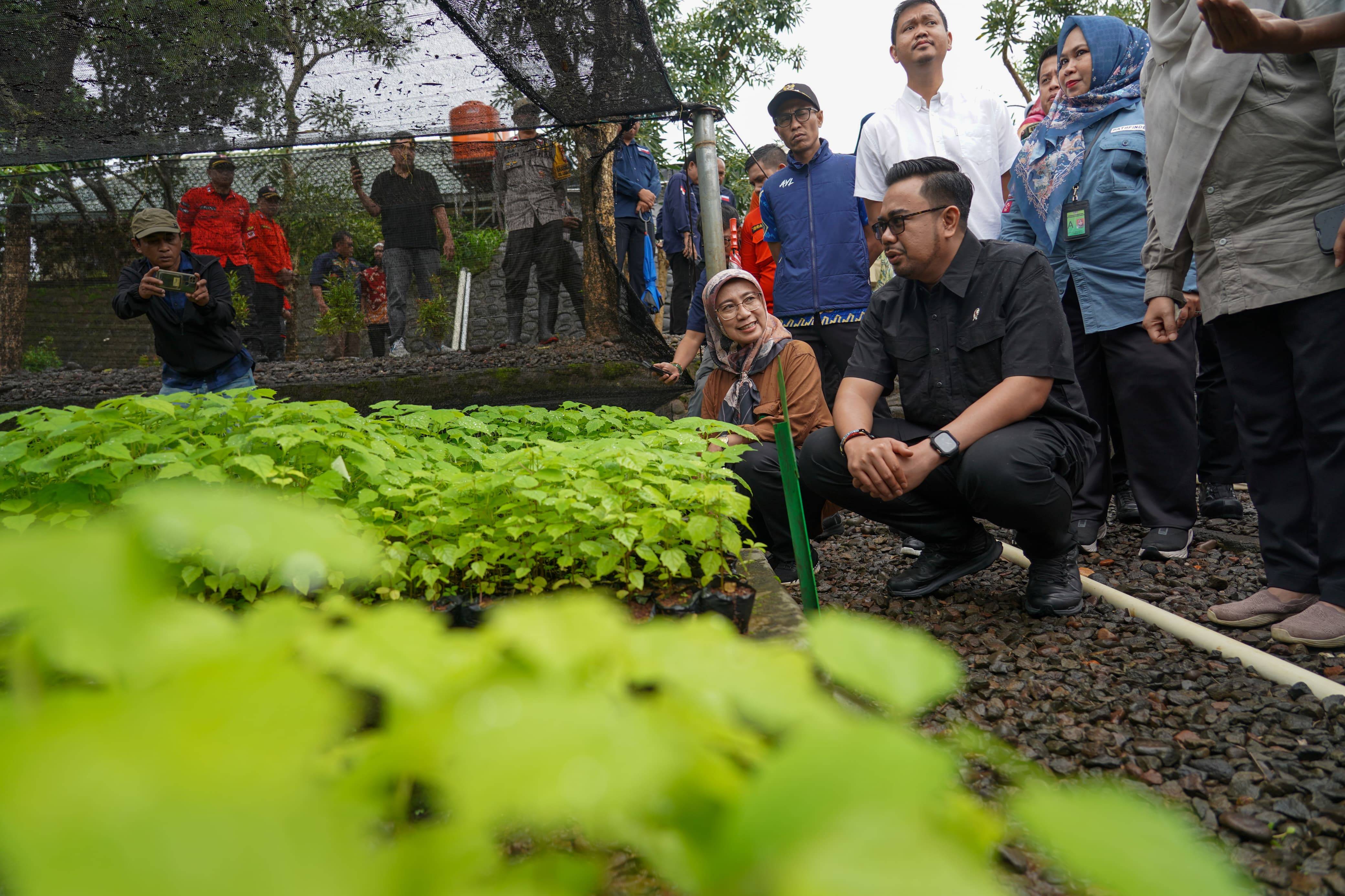 Wamenhut: Bibit Gratis untuk Mendorong Pengembangan Agroforestry