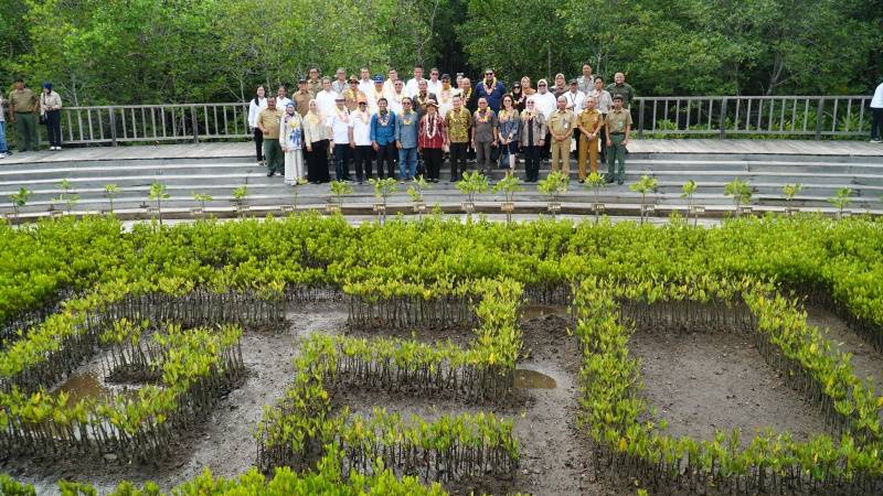 Komisi IV DPR RI Dukung Upaya Pemerintah dalam Merehabilitasi Mangrove