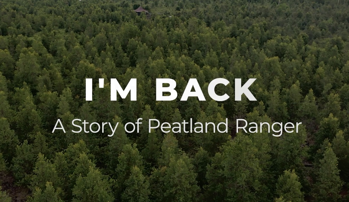 I’M BACK (A Story of Peatland Ranger)